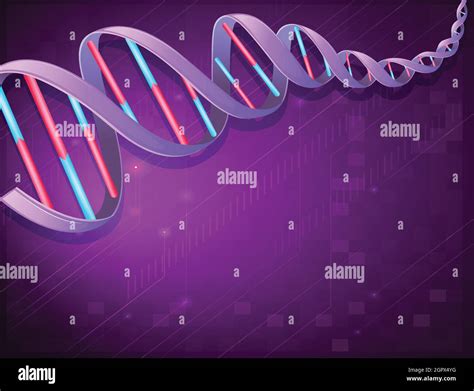 Dna Rna Graphic Stock Vector Images Alamy