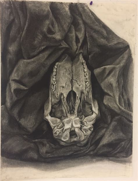 Charcoal Skull By Inkflair On Deviantart