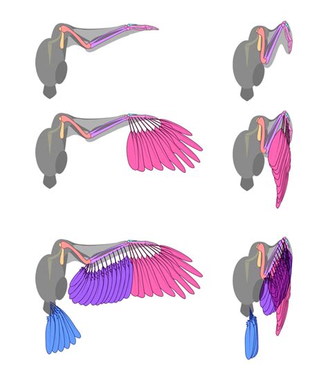 The common angel wings are so vanilla. Sylestia - Forums