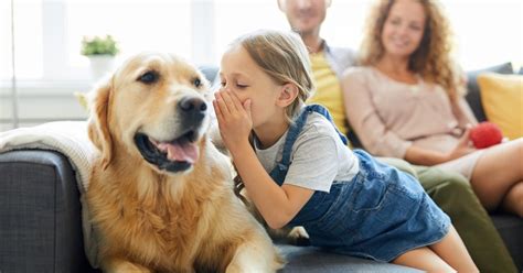 How To Communicate Telepathically With Animals Animal Thoughts