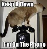 Images of Telephone Answering Funny