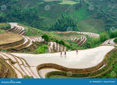 Yaoshan Mountain Guilin China Hillside Rice Terraces Stock Image