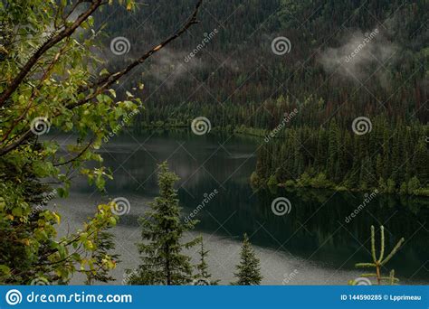 Green Pine Trees Around A Lake With Low Clouds Stock Image Image Of