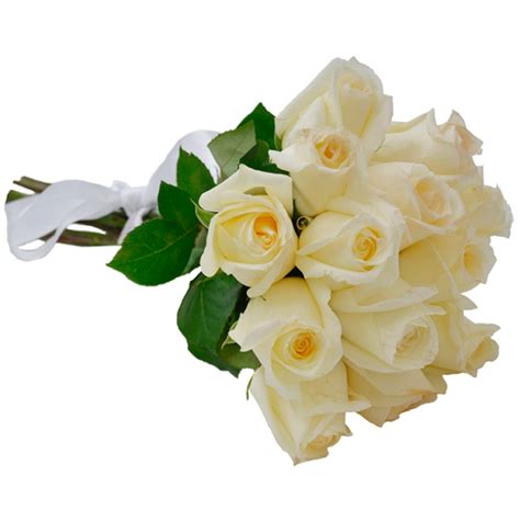 Buquê De Rosas Branca Significado
