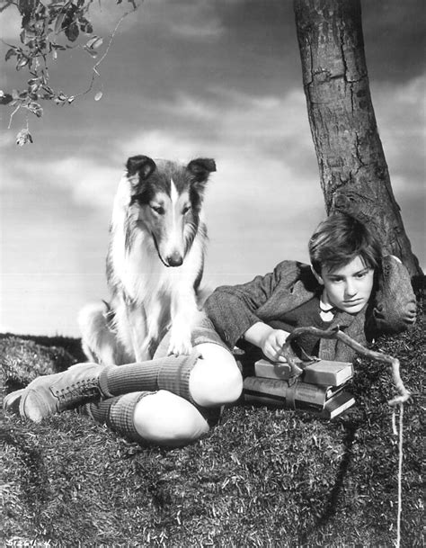 Roddy Mcdowall As Joe Carraclough And Pal As Lassie In Lassie Come Home 1943 Mad Tail
