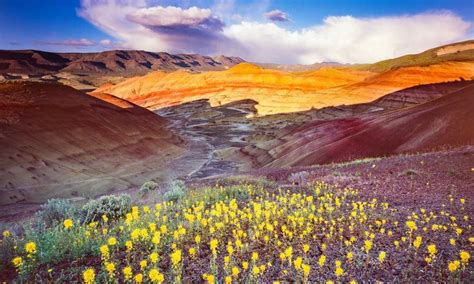 Painted Hills Wildflowers Fine Art Landscape Fine Art Landscape