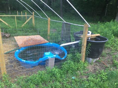 Keeping duck pond water clean... With minimal to no effort ...