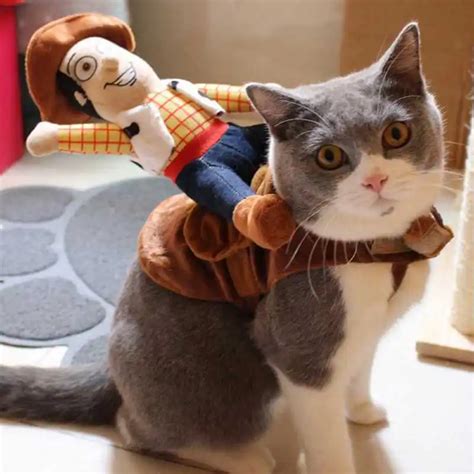 Buy Funny Modelling Of The Cowboys Sheriff Woody Pet