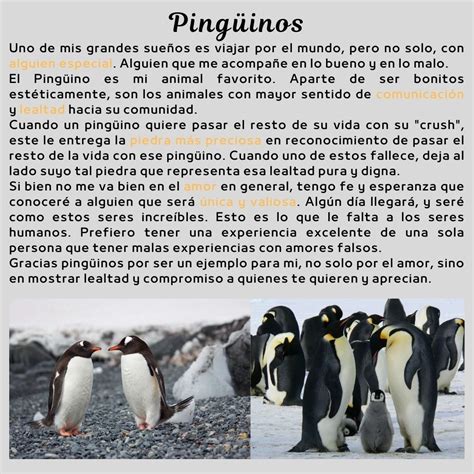 Personalidad de pingüino Pinguinos amor Pinguinos Frases sabias