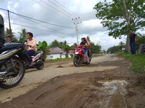 Jalan Provinsi Rusak Parah Pemuda Lintau Turun Tangan Lintas Sumbar