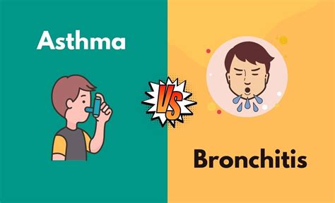 Asthma Vs Bronchitis What S The Difference In Tabular Form Points