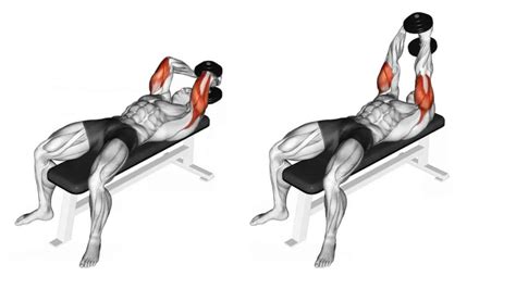 Ultimate Guide To Dumbbell Overhead Tricep Extensions