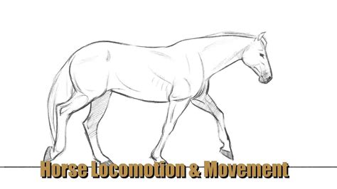 How To Draw Horses With Aaron Blaise Learn How To Draw Horses In