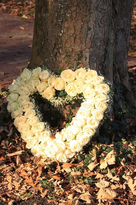 Heart Shaped Sympathy Flowers Stock Photo Image Of Rose Petal 170425250
