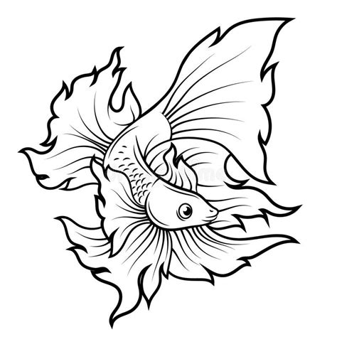 Betta Fish Tattoo Drawing