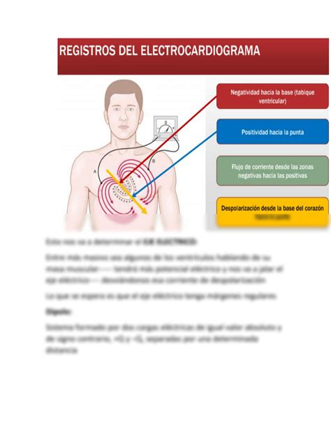 Solution Actividad El Ctrica Del Coraz N Y Electrocardiograma Studypool