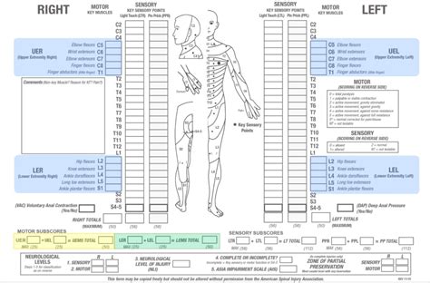 American Spinal Injury Association Asia Impairment Scale Physiopedia