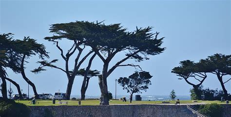 Monterey Coast 22 Photograph By Adam Riggs Fine Art America