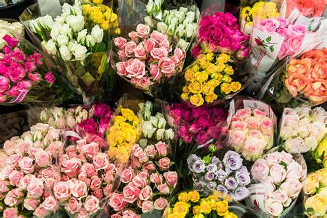 Bunches And Bunches Of Colourful Spray Roses Which Colour Is Your