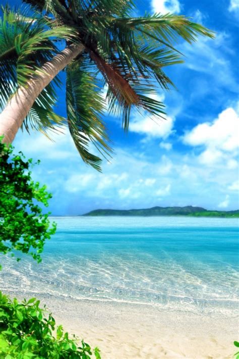 Tropical Paradise Beach 4k Hd Desktop Wallpaper For Beach Paradise