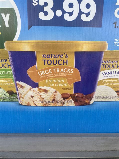 Nature’s Touch “Urge Tracks” with thick chocolate fudge : r/crappyoffbrands