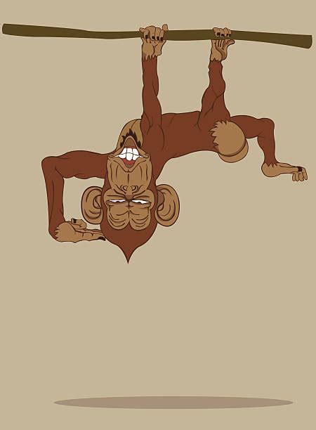 Cartoon Of The Monkey Holding Banana Illustrations