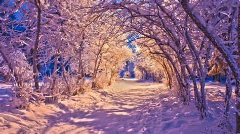 Nature Landscapes Winter Snow Christmas Sidewalk Roads Lights White