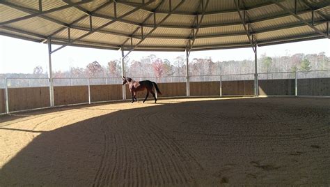 Lunging is a good tool for teaching horses to respond to your physical and verbal cues. Covered Round Pen by Kraft Horse Walker, NC | Horse walker ...