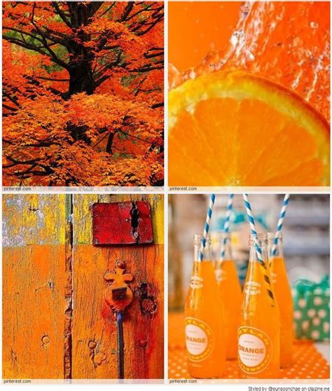 Orange Is The Happiest Color Happy Colors Orange Color