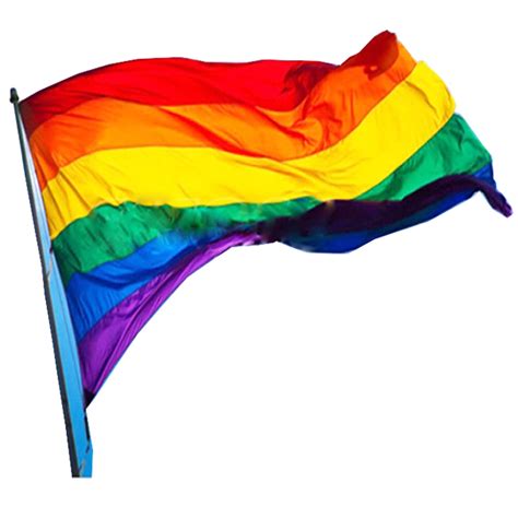 Lgbt Flag Png Transparent Image Download Size 1100x1100px