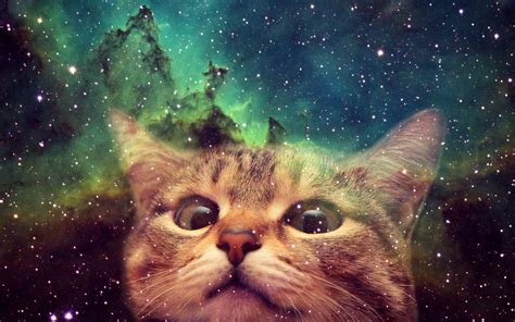 48 Space Cat Wallpaper On Wallpapersafari