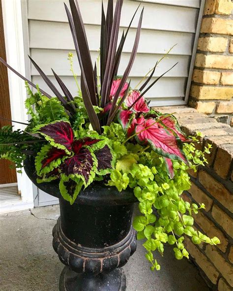 20 Shade Container Gardening Ideas To Try This Year Sharonsable