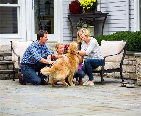 The donation can help families, said kim radke, trainer at invisible fence brand twin cities. Save $100 Off Invisible Dog Fence in Southern Kentucky ...
