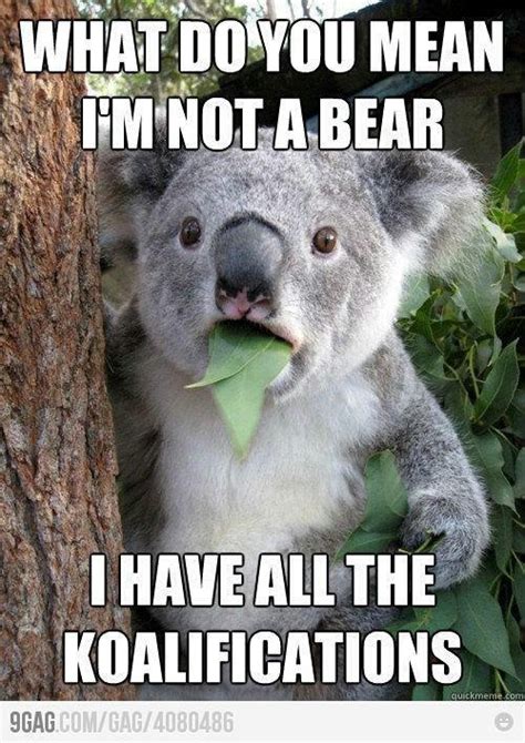 17 Best Images About Zoo Puns On Pinterest An Adventure Trips And Humor