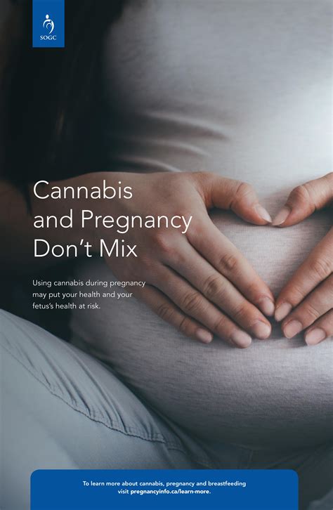 Cannabis And Pregnancy Dont Mix Poster 4 Pregnancy Info