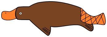 Free Image Of Platypus Clip Art Library