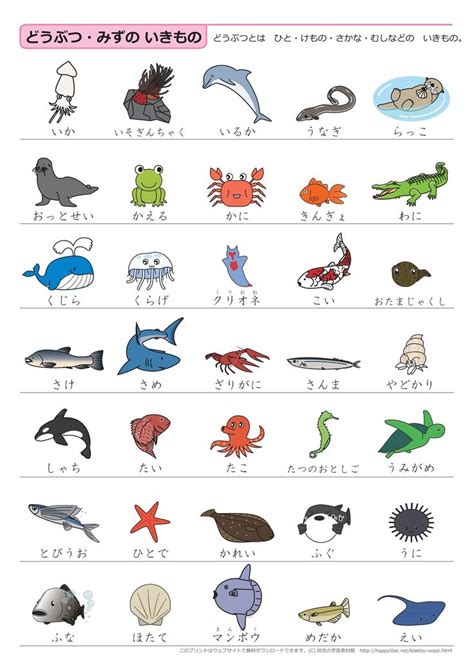 Basic Japanese Vocabulary through pictures - Japanese Quizzes
