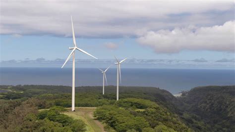 Oahu Wind Farm To Fund Research After Bat Petrel Deaths West Hawaii