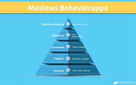 Maslows Behovstrappa 5 Steg För Att Förstå Människors Behov