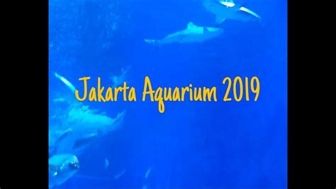Jakarta Aquarium 2019 Youtube