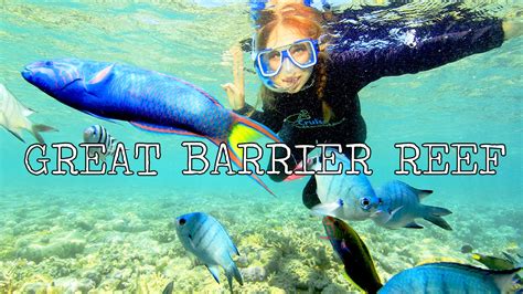Great Barrier Reef Snorkel Impressions Youtube