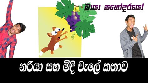 Nariya Saha Midi Wela නරියා සහ මිදි වැල Fairy Tales Sinhala