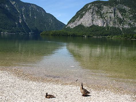 Hallstätter See In Gmunden Österreich Sygic Travel