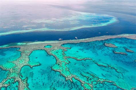 Grande Barriera Corallina Da Vedere Australia Lonely Planet