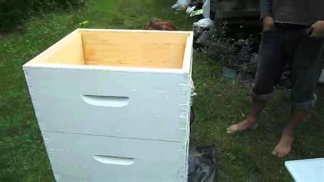 Building Beehives Youtube