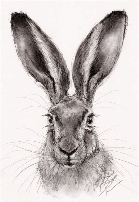 Original Artwork A4 Charcoal Drawing Of A Hare By Animal Etsy In 2020