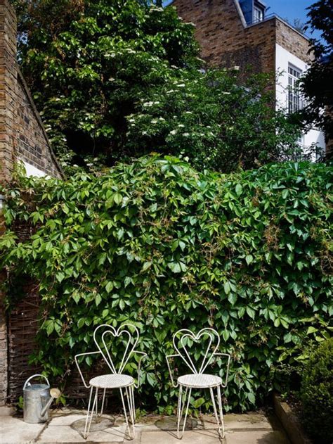 Gardens Balconies And Courtyards How To Master Greenery At Home
