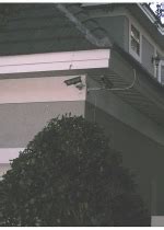 Investigators said woods would have likely died in the crash but managed to survive as his car's interior stayed mostly unimpaired. Tiger Woods Accident Report | The Smoking Gun