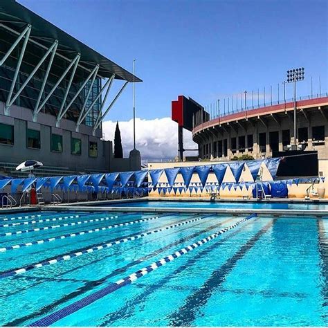 The Coolest Public Pools For Las Hottest People Discover Los Angeles