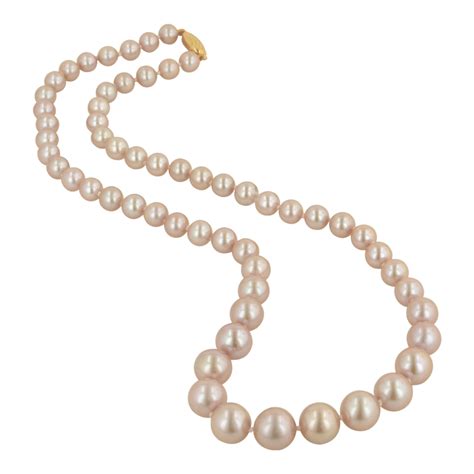 Pearl Png Images Transparent Background Png Play